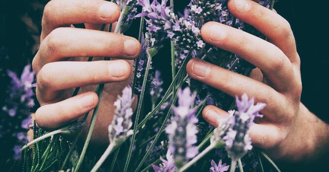 Initial Acupuncture Visit