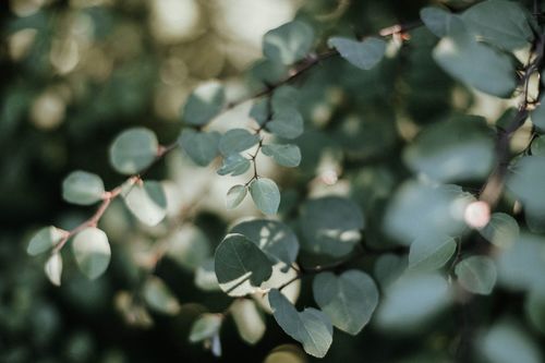 Sheridan Richardson-Barnes